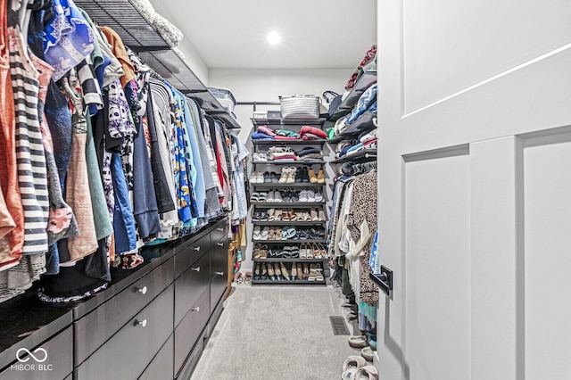 1107 Mccray Ln, Westfield, IN 46074 - walk in closet with carpet floors