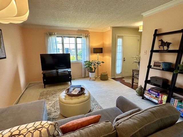 5491 Vin Rose Ln, Lawrence, IN 46226 - living room featuring carpet flooring, a textured ceiling, ornamental molding, and baseboards
