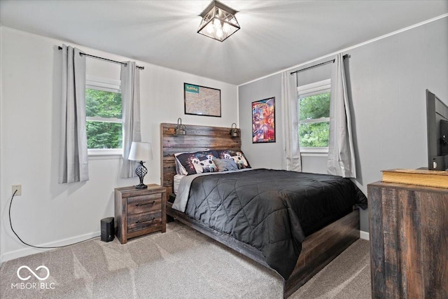 3459 E 650 N, Windfall, IN 46076 - carpeted bedroom featuring multiple windows