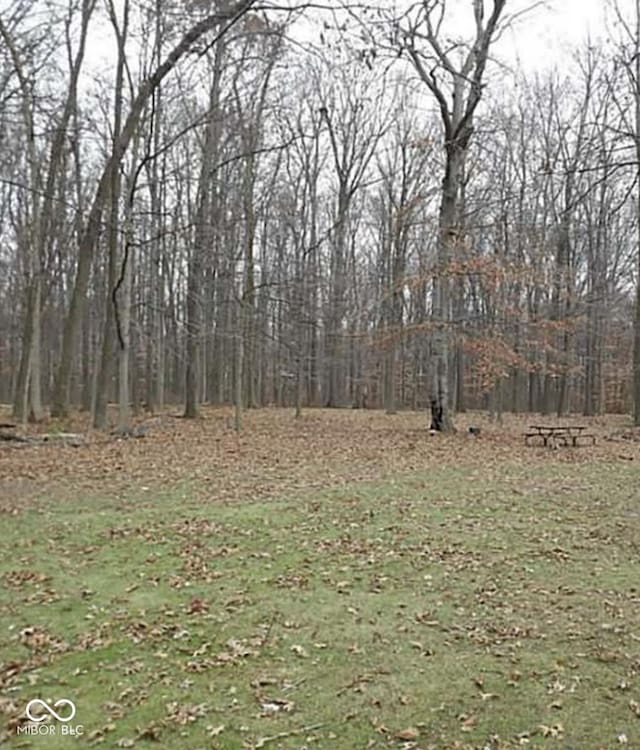 8990 N 850 W, Fairland, IN 46126 - view of yard with a wooded view