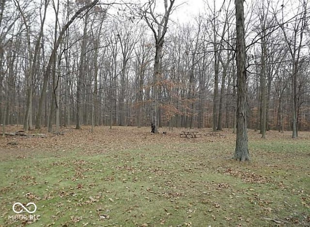 8990 N 850 W, Fairland, IN 46126 - view of yard featuring a view of trees
