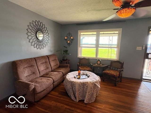 8990 N 850 W, Fairland, IN 46126 - living area with wood finished floors, a textured ceiling, and ceiling fan