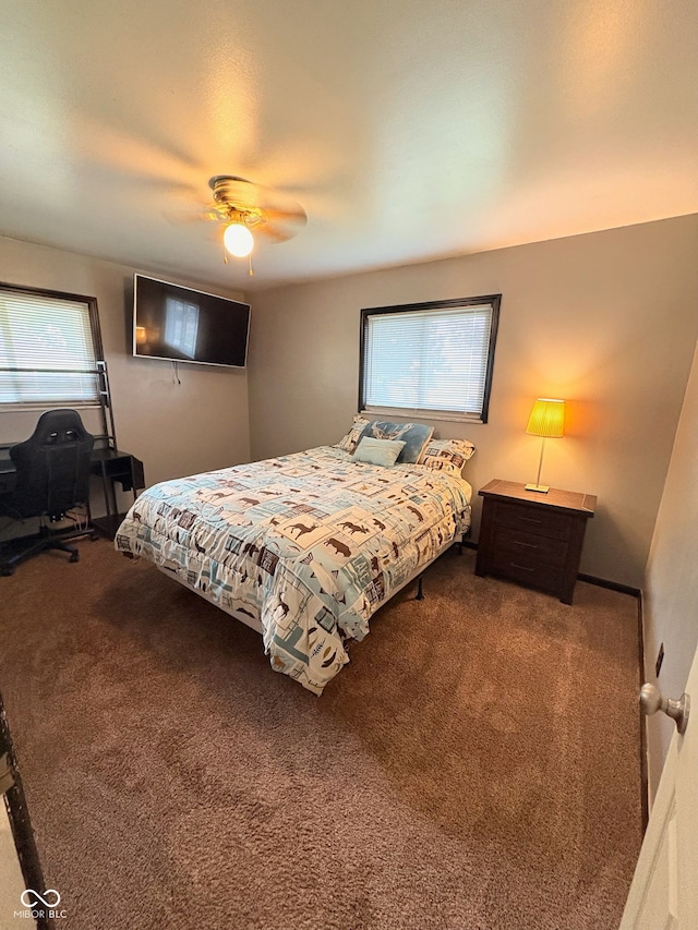 8990 N 850 W, Fairland, IN 46126 - bedroom featuring multiple windows, carpet floors, and ceiling fan