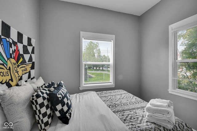 1141 N Shadeland Ave, Indianapolis, IN 46219 - bedroom with multiple windows