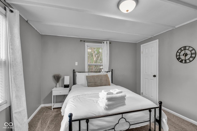 1141 N Shadeland Ave, Indianapolis, IN 46219 - bedroom featuring carpet flooring