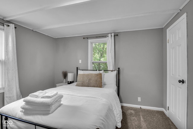 1141 N Shadeland Ave, Indianapolis, IN 46219 - bedroom with carpet and baseboards