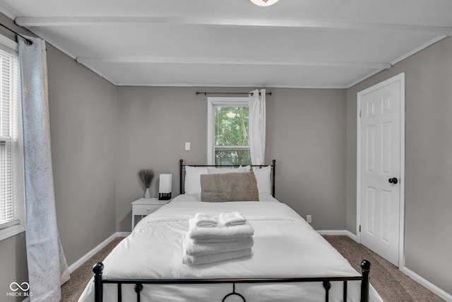 1141 N Shadeland Ave, Indianapolis, IN 46219 - carpeted bedroom with beam ceiling
