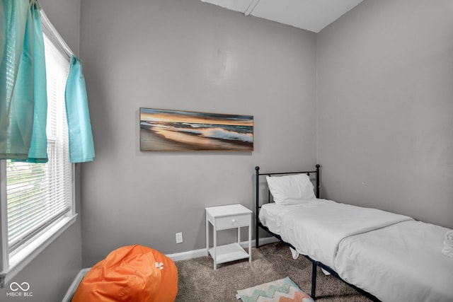 1141 N Shadeland Ave, Indianapolis, IN 46219 - bedroom with multiple windows and carpet floors