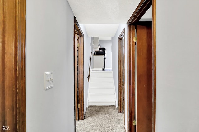 7504 Troon Ct, Indianapolis, IN 46237 - hall with carpet floors