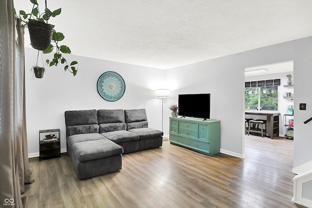 7504 Troon Ct, Indianapolis, IN 46237 - living room featuring wood finished floors, a textured ceiling, and baseboards