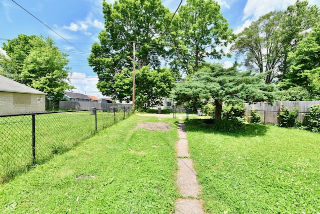 1346 W 27th St, Indianapolis, IN 46208 - view of yard