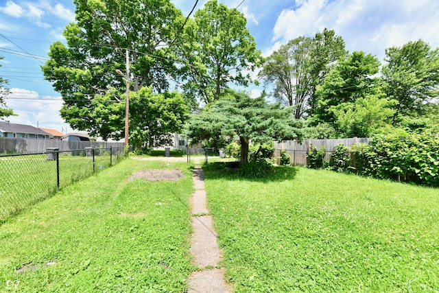 1346 W 27th St, Indianapolis, IN 46208 - view of yard