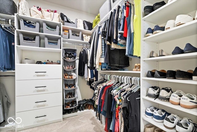 7154 Covington St, Lebanon, IN 46052 - spacious closet featuring carpet