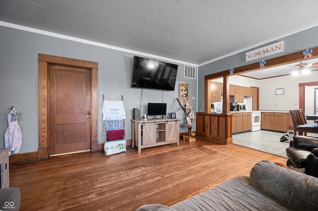 11780 S Hoover St, Clinton, IN 47842 - living area featuring light wood finished floors, crown molding, and a ceiling fan