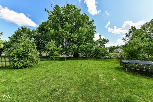 1217 Old Vines Trl, Greenwood, IN 46143 - view of yard featuring a trampoline