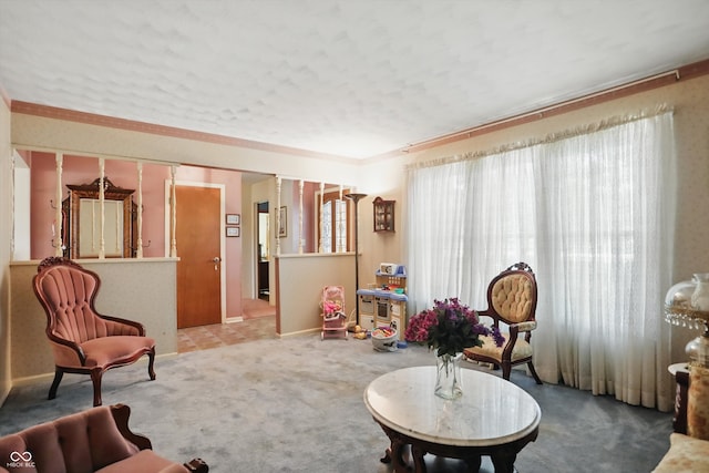 1914 S Avon Ave, Avon, IN 46123 - living area with carpet, baseboards, and a textured ceiling