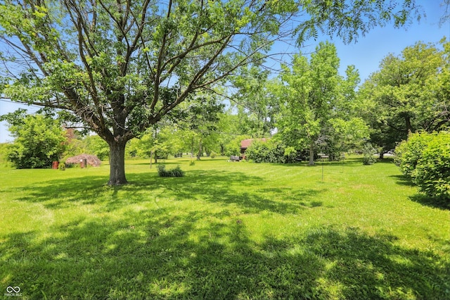 1914 S Avon Ave, Avon, IN 46123 - view of grassy yard
