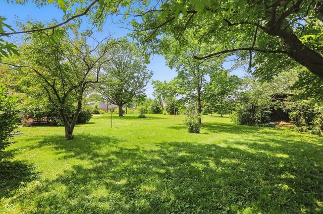 1914 S Avon Ave, Avon, IN 46123 - view of green lawn