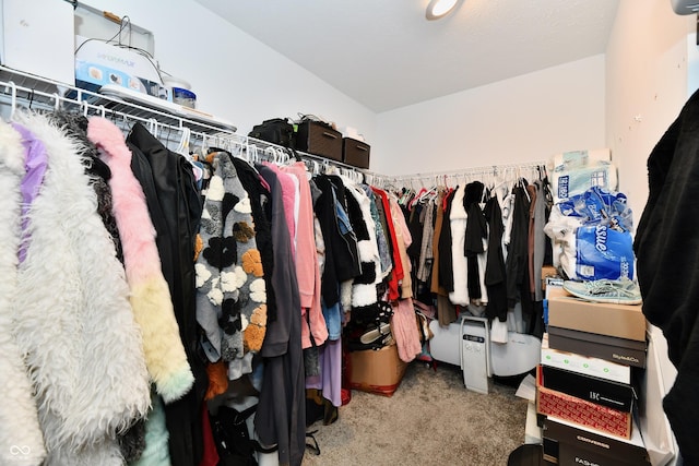 6883 Honeysuckle Way, Pendleton, IN 46064 - spacious closet with carpet floors