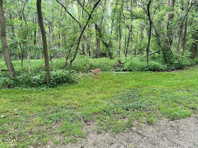 7811 N County Road 500 E, Pittsboro, IN 46167 - view of yard featuring a forest view