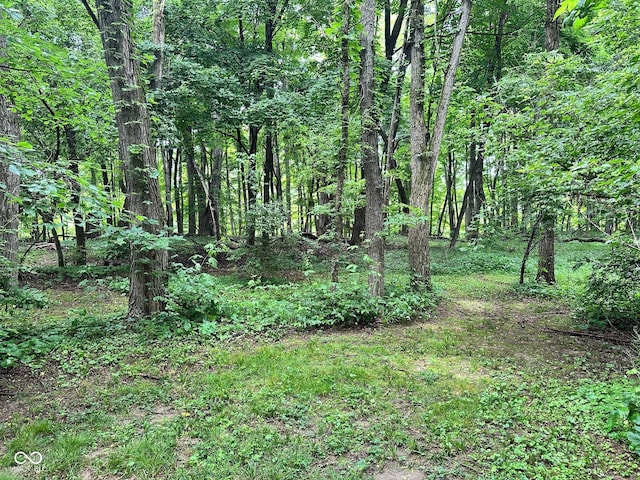 7811 N County Road 500 E, Pittsboro, IN 46167 - view of wooded area