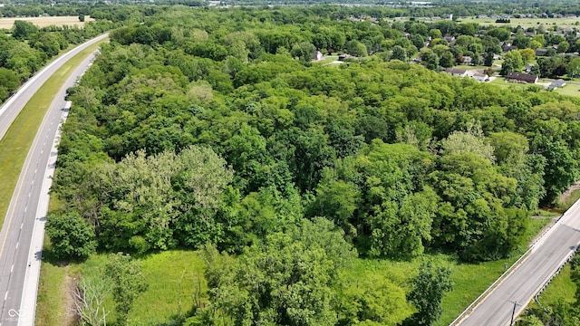 7811 N County Road 500 E, Pittsboro, IN 46167 - view of property location featuring a highway and a heavily wooded area