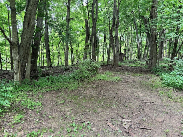 7811 N County Road 500 E, Pittsboro, IN 46167 - view of wooded area
