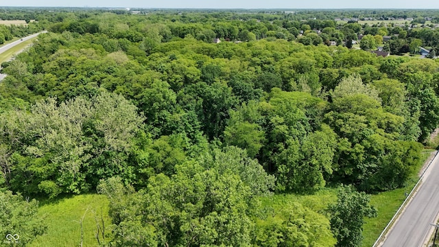 7811 N County Road 500 E, Pittsboro, IN 46167 - aerial view of property's location with a forest