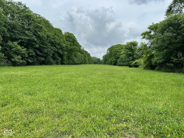 7811 N County Road 500 E, Pittsboro, IN 46167 - view of yard with a forest view