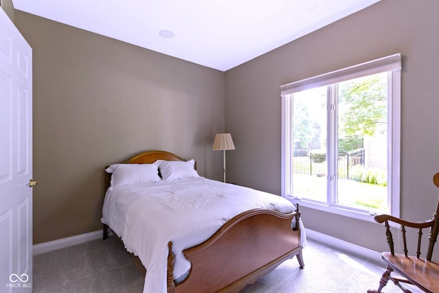 4763 Woods Edge Dr, Zionsville, IN 46077 - carpeted bedroom featuring multiple windows