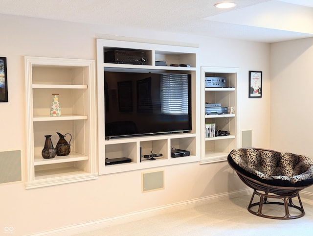 4763 Woods Edge Dr, Zionsville, IN 46077 - detailed view of built in shelves and baseboards