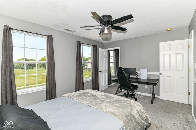 12343 Slate Dr, Fishers, IN 46037 - bedroom featuring carpet floors, multiple windows, baseboards, and a ceiling fan