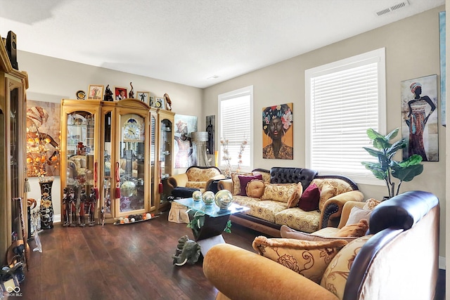 9605 Treyburn Green Way, Indianapolis, IN 46239 - living area featuring wood finished floors