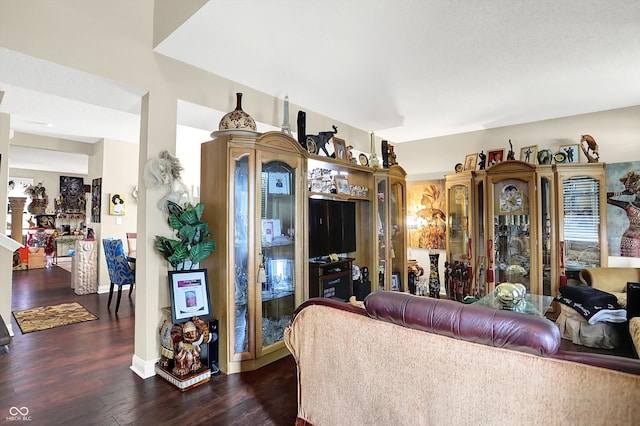 9605 Treyburn Green Way, Indianapolis, IN 46239 - living room featuring dark wood-style floors