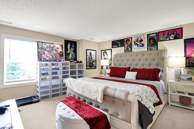 9605 Treyburn Green Way, Indianapolis, IN 46239 - bedroom featuring carpet floors and a textured ceiling