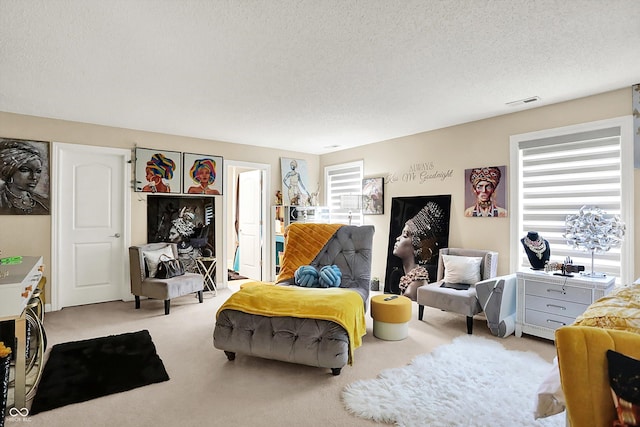 9605 Treyburn Green Way, Indianapolis, IN 46239 - living area featuring carpet floors and a textured ceiling