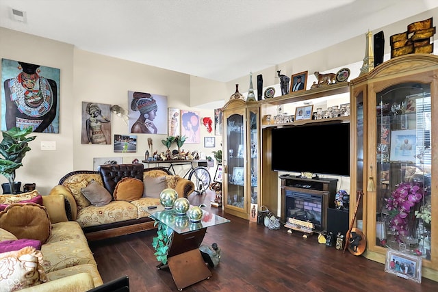 9605 Treyburn Green Way, Indianapolis, IN 46239 - living room featuring wood finished floors and a glass covered fireplace