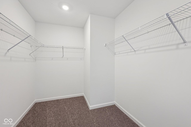 1304 Vera Blvd, Danville, IN 46122 - walk in closet with carpet floors