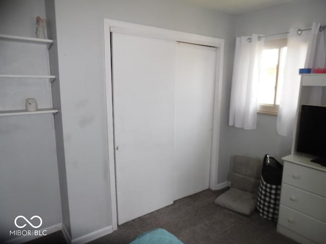 213 S Coventry Dr, Anderson, IN 46012 - bedroom with carpet flooring and a closet