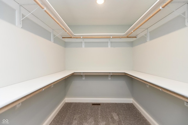 3204 N County Road 900 E, Seymour, IN 47274 - walk in closet featuring carpet floors