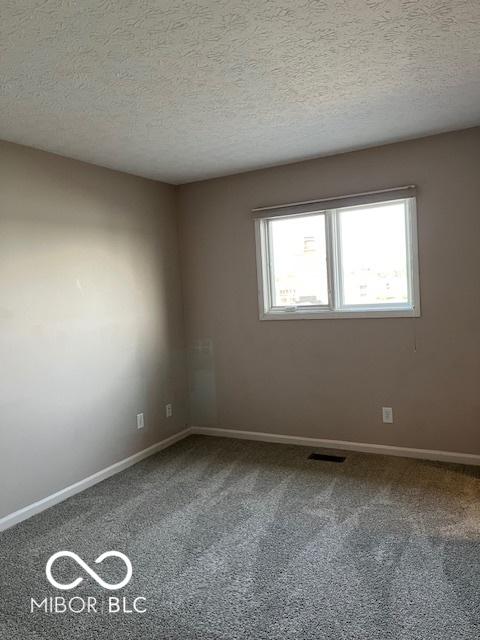 7707 River Rd Unit 10, Indianapolis, IN 46240 - spare room with carpet, baseboards, and a textured ceiling