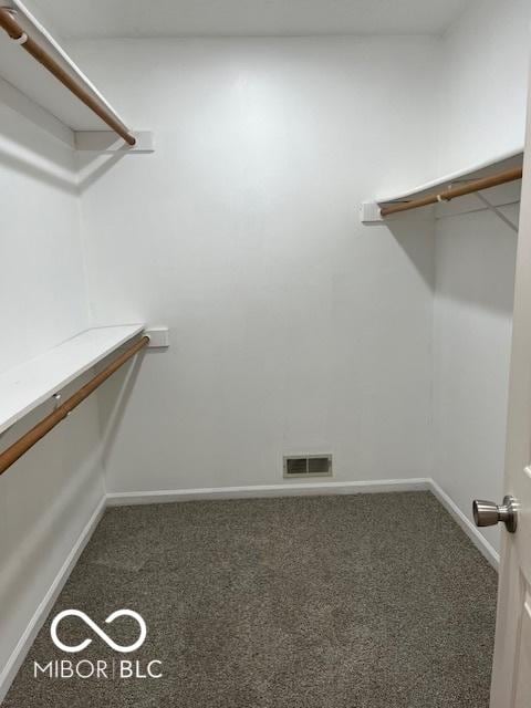 7707 River Rd Unit 10, Indianapolis, IN 46240 - walk in closet featuring carpet floors