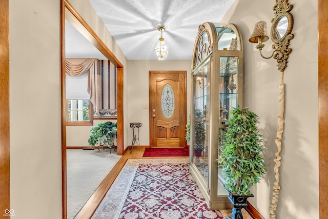 6605 N Private Road 110 W, Brazil, IN 47834 - foyer with baseboards and wood finished floors