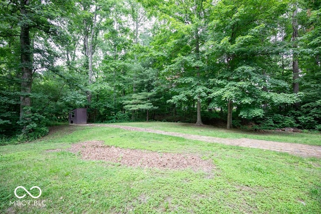 5840 N State Highway 7, Scipio, IN 47273 - view of grassy yard featuring a wooded view
