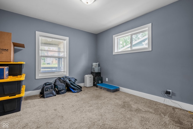 1529 E Tabor St, Indianapolis, IN 46203 - recreation room with carpet and baseboards