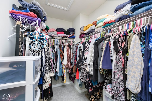 5335 Rum Cherry Way, Indianapolis, IN 46237 - walk in closet featuring attic access and carpet flooring