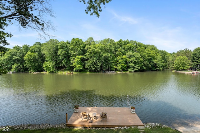 8426 N Chickadee Dr, Morgantown, IN 46160 - dock featuring a water view and a wooded view
