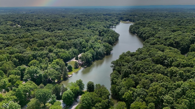8426 N Chickadee Dr, Morgantown, IN 46160 - bird's eye view of a nearby body of water and a heavily wooded area