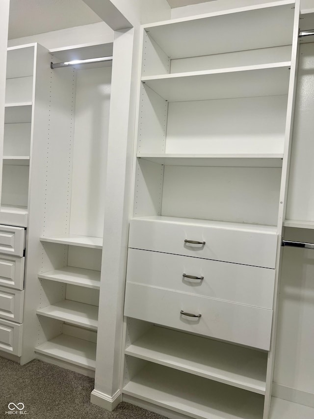 7532 Perilla Ct, Indianapolis, IN 46237 - walk in closet featuring carpet flooring