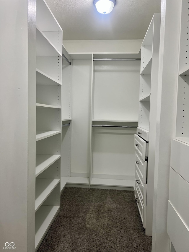 7532 Perilla Ct, Indianapolis, IN 46237 - walk in closet with dark carpet